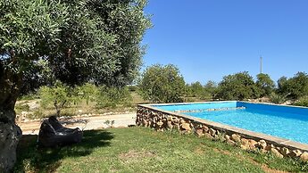 CIP V8 Gold - New!!!