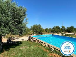 CIP V8 Gold - New!!!