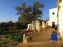 CIP V8 Gold - New!!!