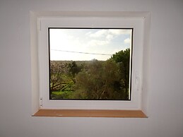 CIP V8 Gold - New!!!