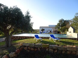 CIP V8 Gold - New!!!