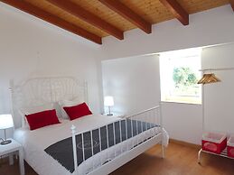 CIP V8 Gold - New!!!