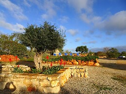 CIP V8 Gold - New!!!