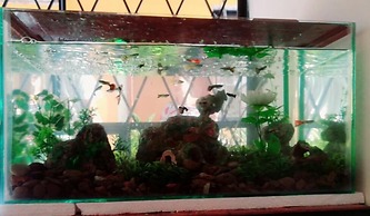 Hostal Mariscal Sucre