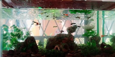 Hostal Mariscal Sucre