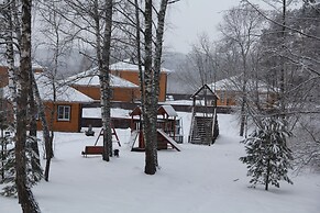 Forest estate Lesnye Polyany