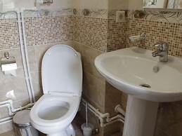 Forest estate Lesnye Polyany