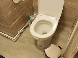 Forest estate Lesnye Polyany