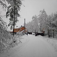 Forest estate Lesnye Polyany