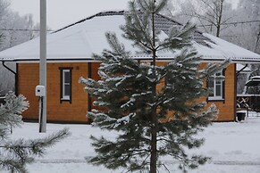 Forest estate Lesnye Polyany