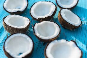 Belize Adventures at Long Caye