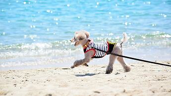 Miyakojima Villa Plumeria