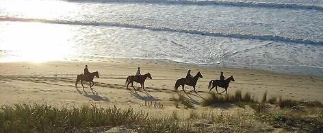 Chambres D'hôtes 1001 Nuits