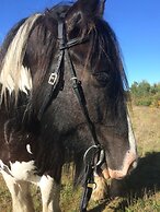 Chambres D'hôtes 1001 Nuits