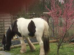 Chambres D'hôtes 1001 Nuits