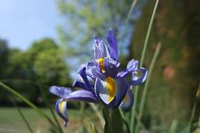 Affittacamere Marisa