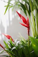 Lovely Spot Penha de França