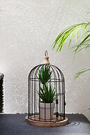 Lovely Spot Penha de França