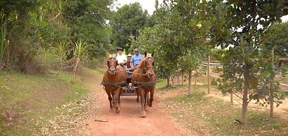Gadiamb City- Glamping