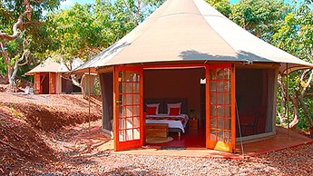 Gadiamb City- Glamping