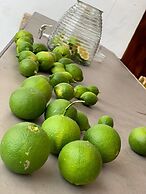 Ziggys retreat B & B Adults Only