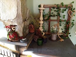 Ziggys retreat B & B Adults Only