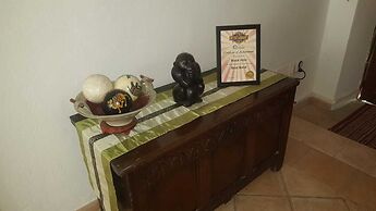 Ziggys retreat B & B Adults Only