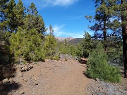 Ziggys retreat B & B Adults Only