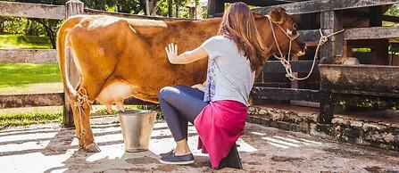 Hotel Fazenda Igarapés