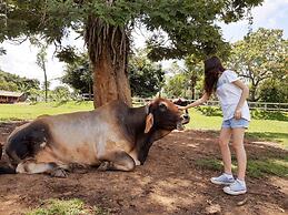 Hotel Fazenda Igarapés