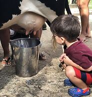 Hotel Fazenda Igarapés