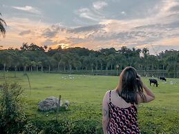 Hotel Fazenda Igarapés
