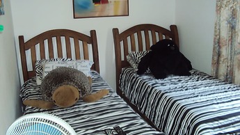 Beach House P.G - Hostel