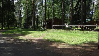 Silent Forest - Campsite