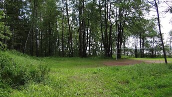 Silent Forest - Campsite