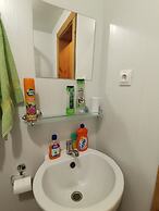 Silent Forest - Campsite