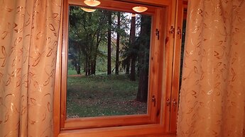 Silent Forest - Campsite