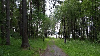 Silent Forest - Campsite