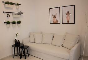 Super Stylish Apartments in Syntagma Square