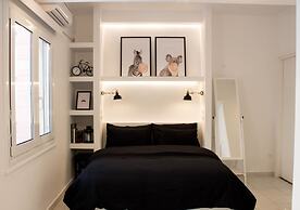 Super Stylish Apartments in Syntagma Square