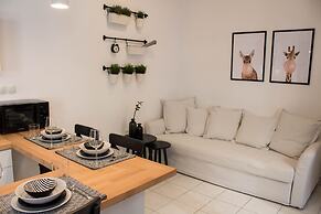 Super Stylish Apartments in Syntagma Square