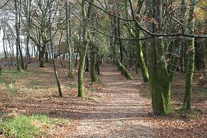 Enoturismo María Manuela