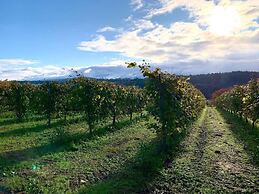 Enoturismo María Manuela