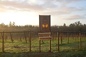 Enoturismo María Manuela