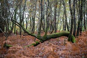 Enoturismo María Manuela