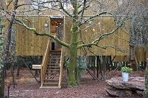 Enoturismo María Manuela