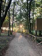 Enoturismo María Manuela