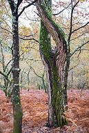 Enoturismo María Manuela