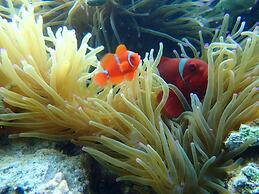 Taman Menjangan Homestay