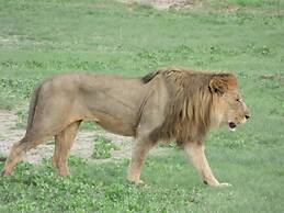 Villa Africa Guesthouse